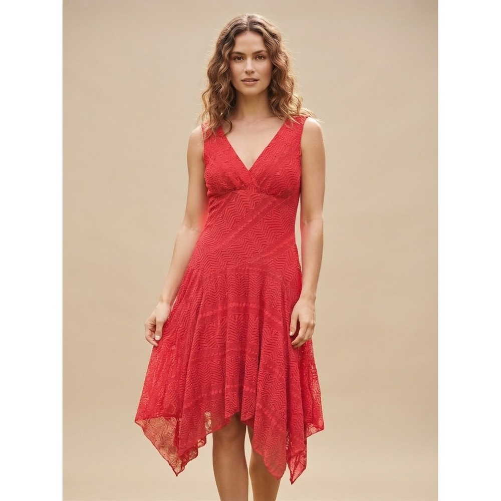 Rabbit Rabbit Rabbit Women Dress Red 10 Lace V-Neck Sleeveless Fit Romantic